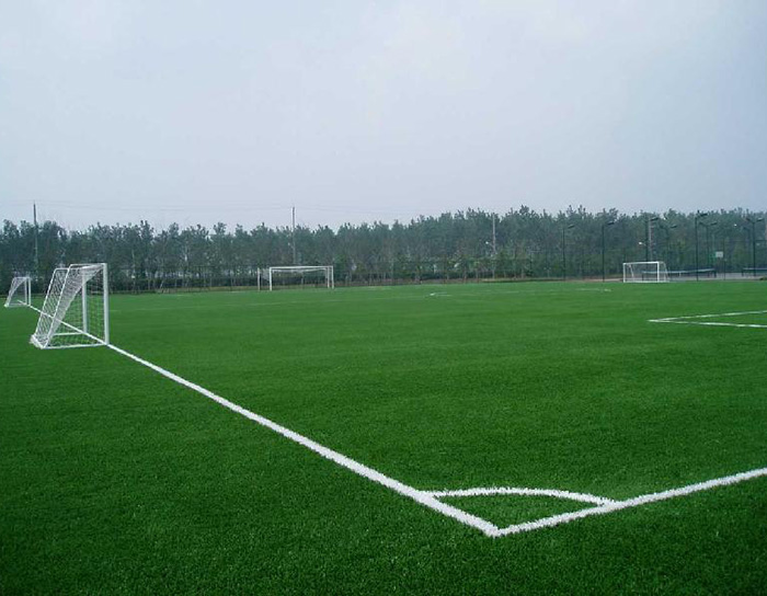 人造草坪足球場 人造草坪足球場