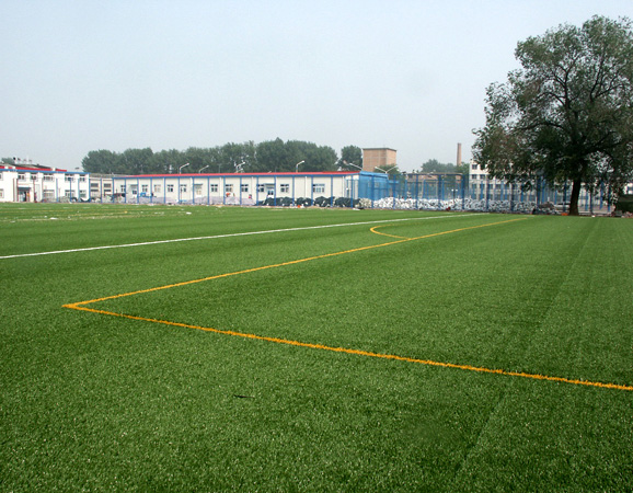 人造草坪足球場 人造草坪足球場